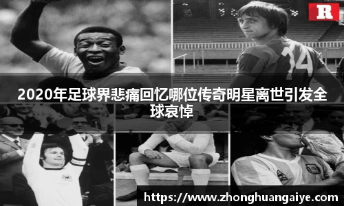 雷竞技官网地址